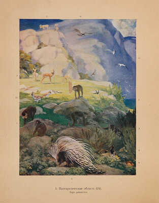 Мензбир М.А. Зоогеографический атлас... М., 1912. 